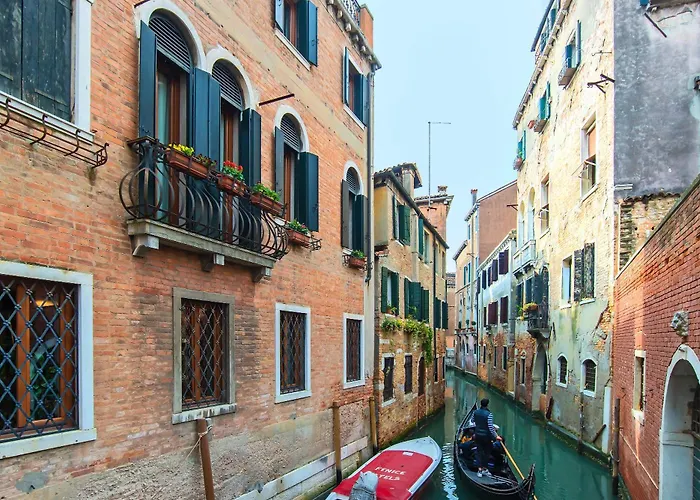 La Fenice Et Des Artistes